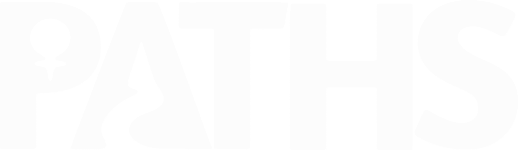 PATHS – Provincial Association of Transition Houses and Services of Saskatchewan